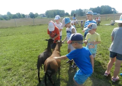 Dzieci głaszczą kozy