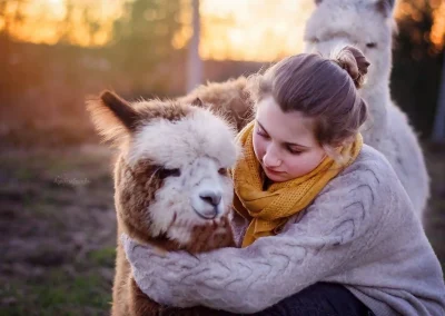 kobieta przytulająca brązowo-białą alpakę