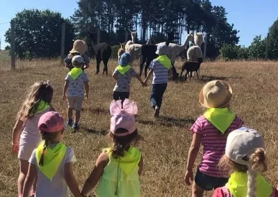 Dzieci i alpaki na polanie