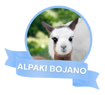 Alpaki Bojano